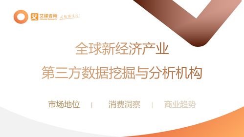 2023年中國信創(chuàng)產(chǎn)業(yè)發(fā)展白皮書 防雷器行業(yè)技術革新與市場前景
