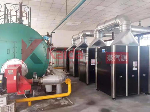 真低氮選凱大 食品廠4臺1t超低氮變頻蒸汽源機組完美替換4t傳統(tǒng)燃氣鍋爐及防雷箱應用